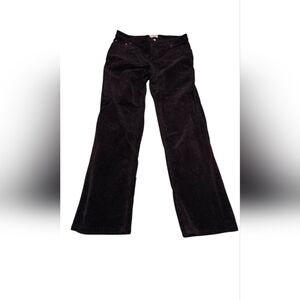 Charter Club Pant Shop Classic Fit Dark Purple Corduroy Pants Size 10